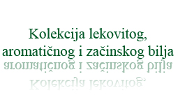 Institut Josif Pančić